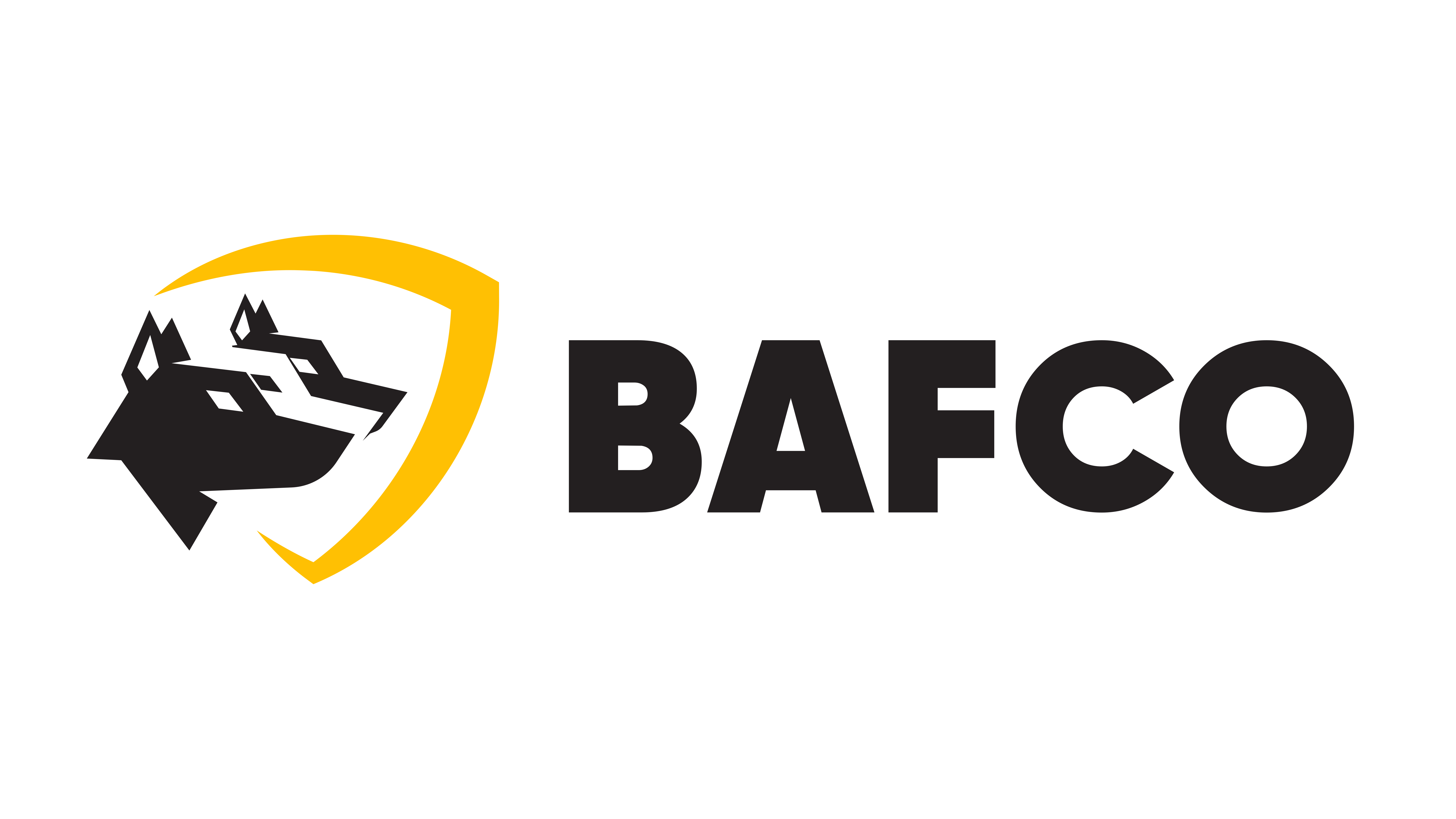 Bafco Invest LLC