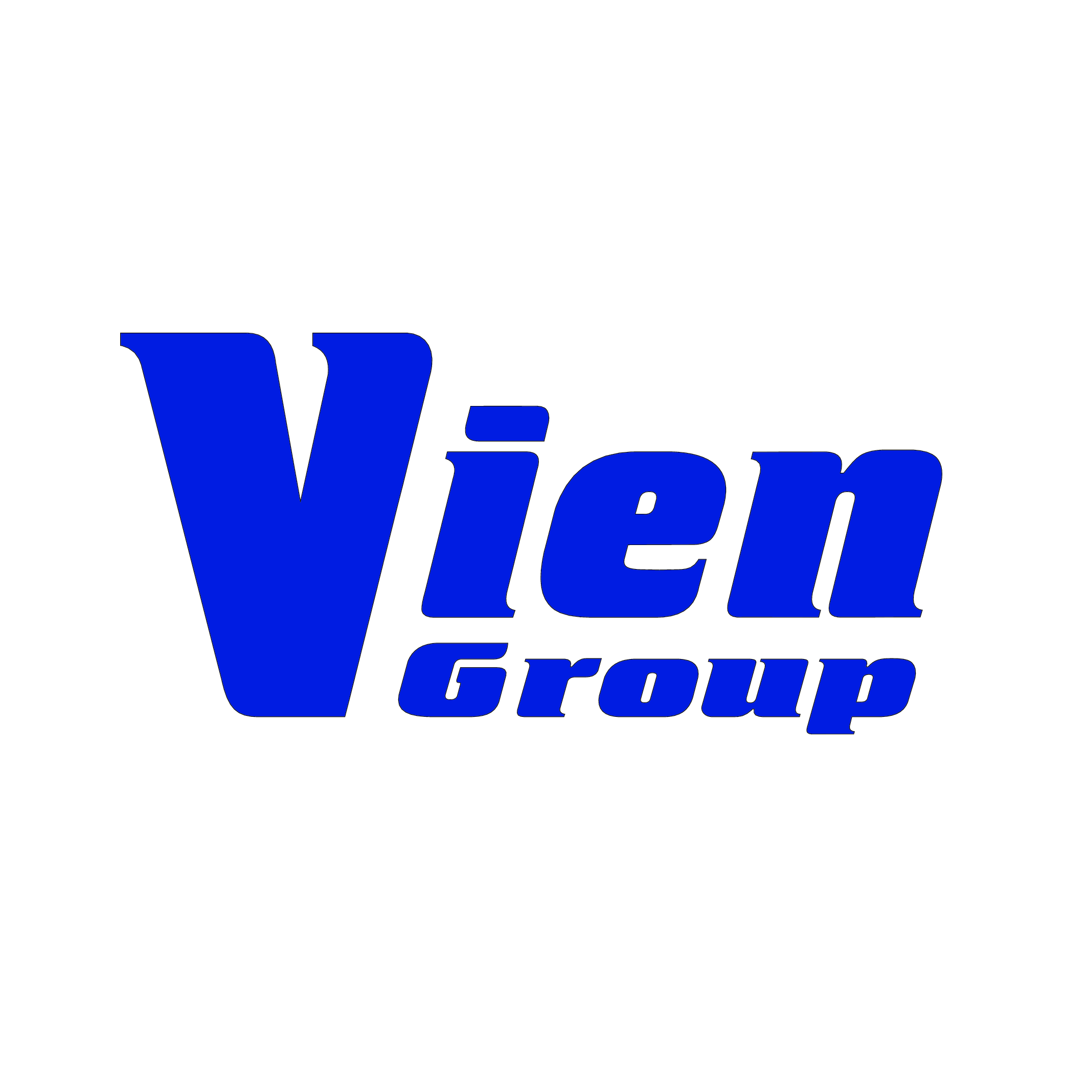 Vien Group